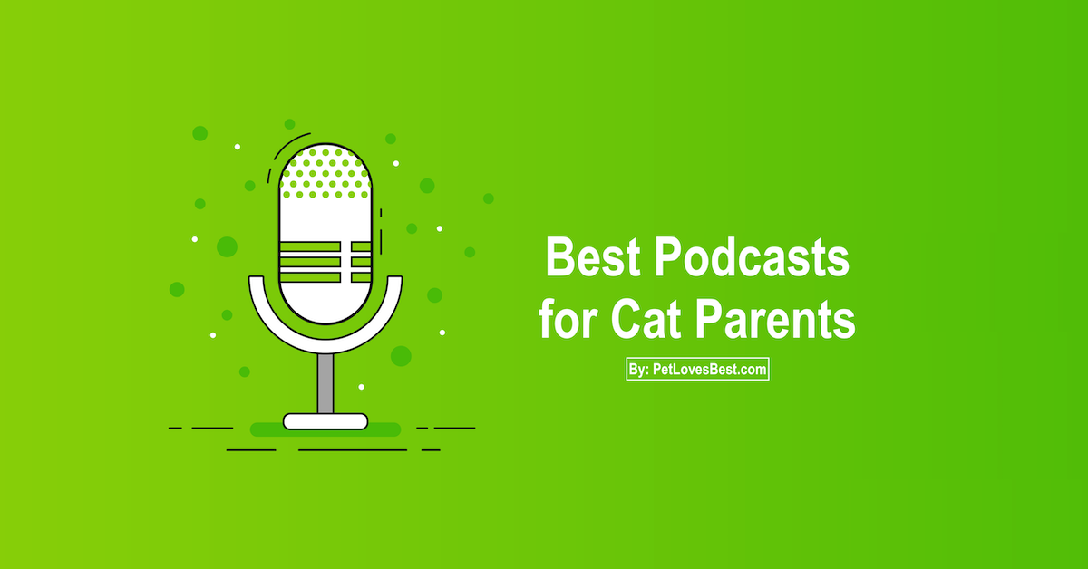 best cat podcasts