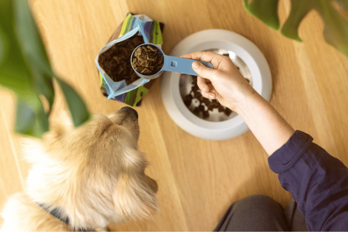 Нові інгредієнти корму для собак, які можуть змінити правила їхнього здоров’я